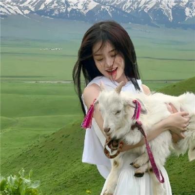 篷车儿童历险记