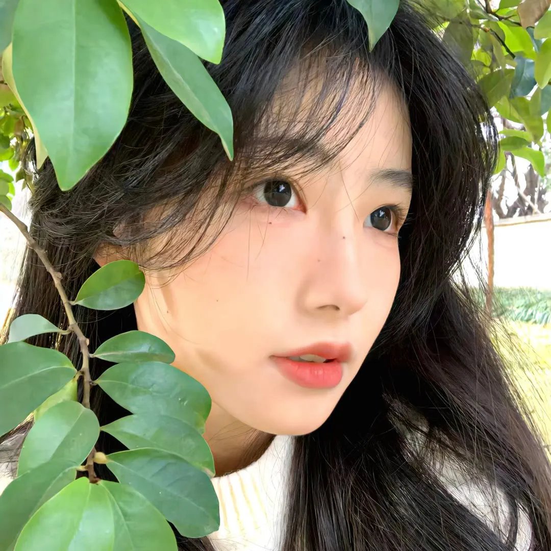 严重无视