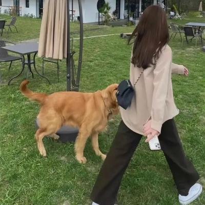患难兄弟情